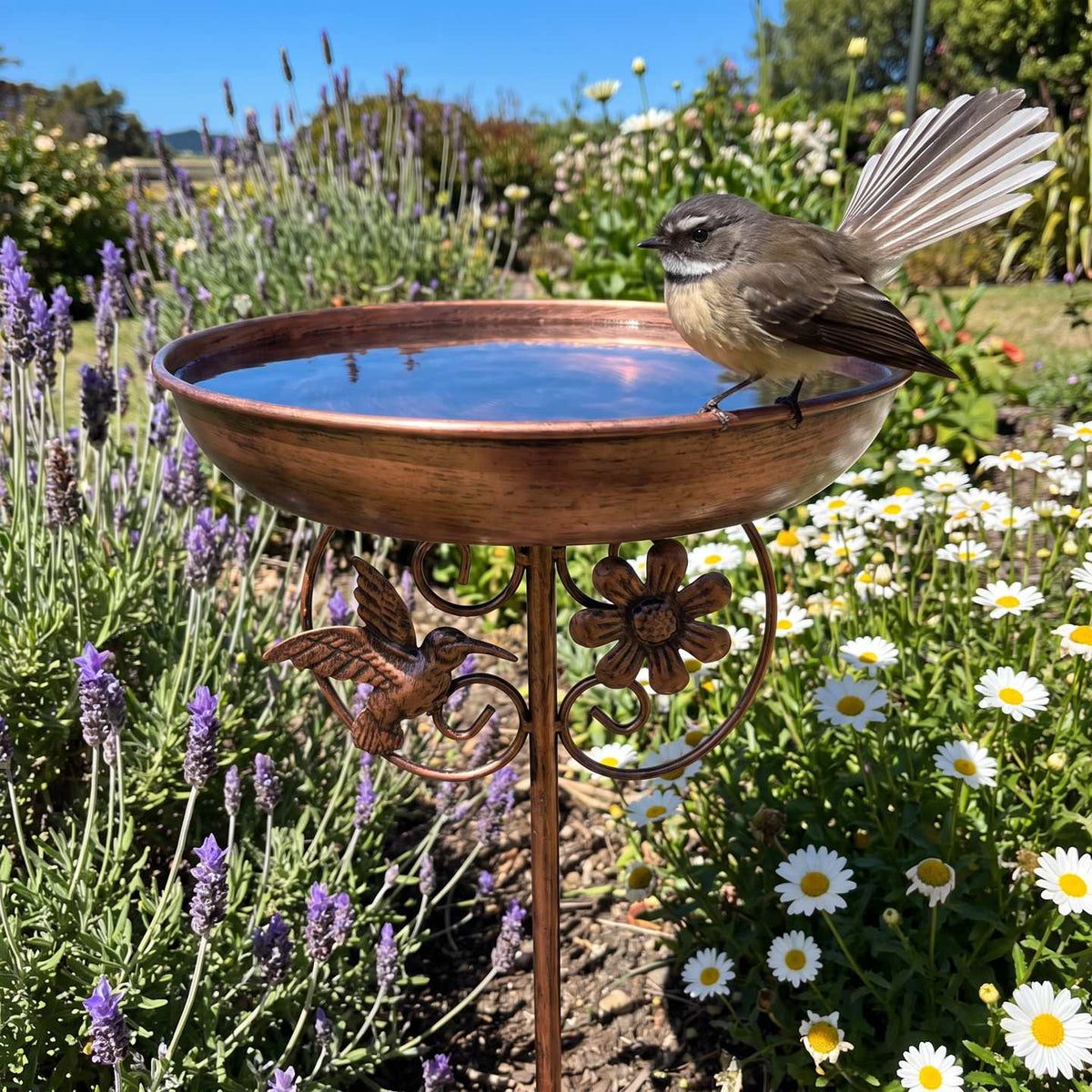Lesley Tasker copper bird bath a3-fantail