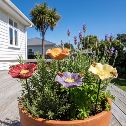 Bee blossoms in a herb pot on a deck