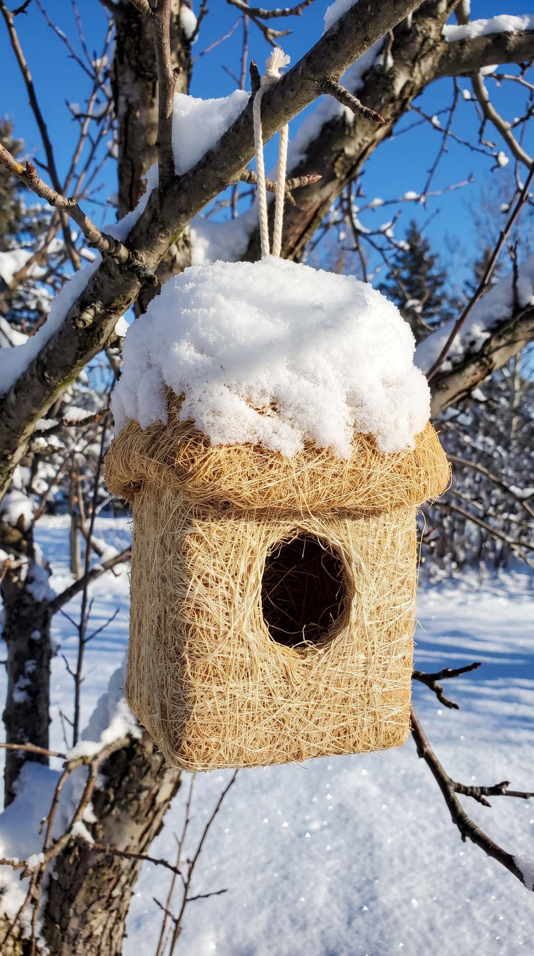f6-snowroof-fredericton