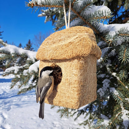 Black-capped chickadee at the door of the roosting hut