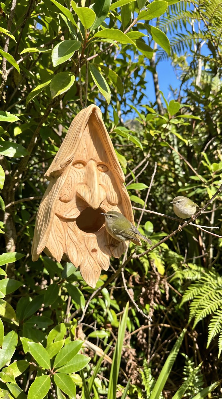 Dougal Fyfe wood spirit birdhouse f1-nelson-riflemen