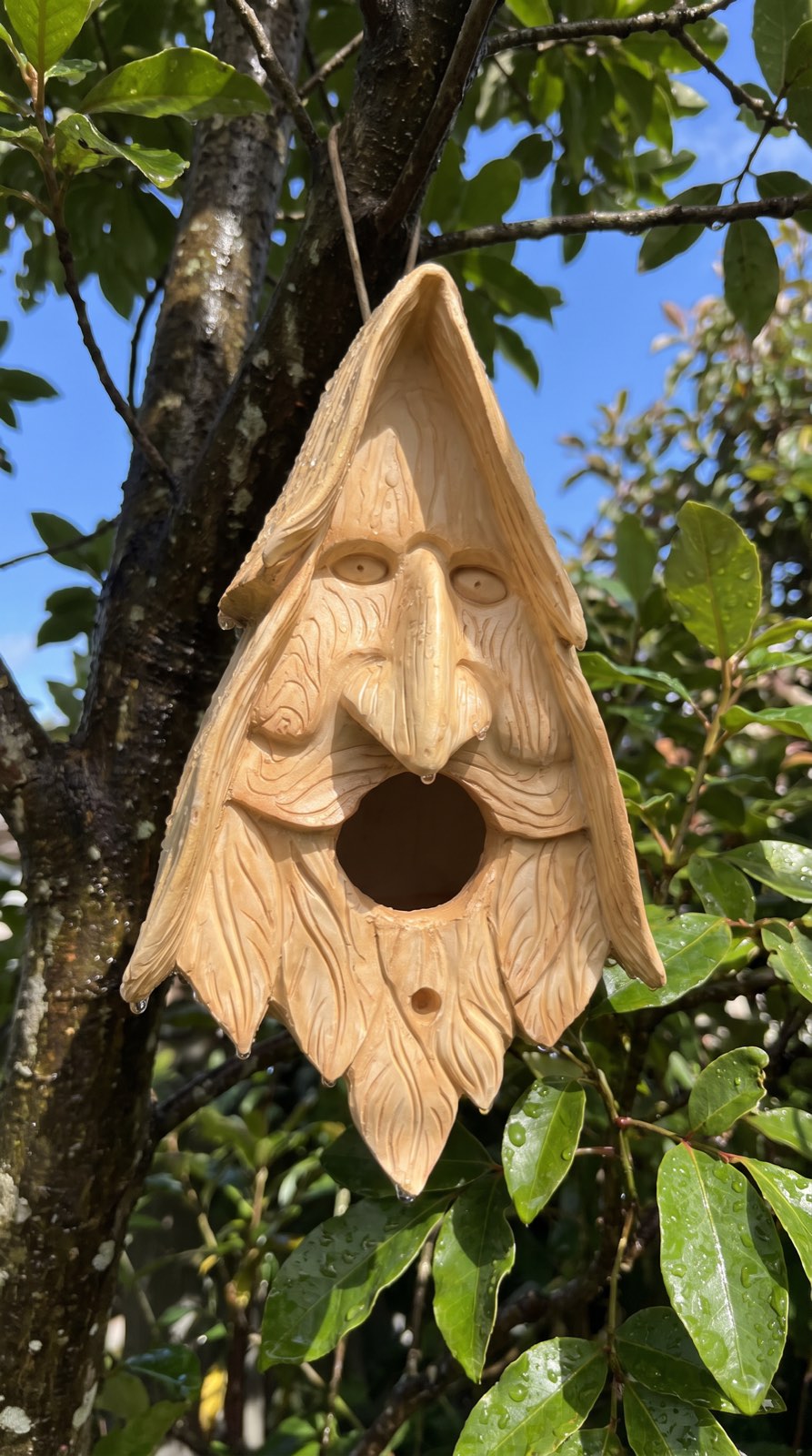 Dougal Fyfe wood spirit birdhouse f5-whangarei-rain