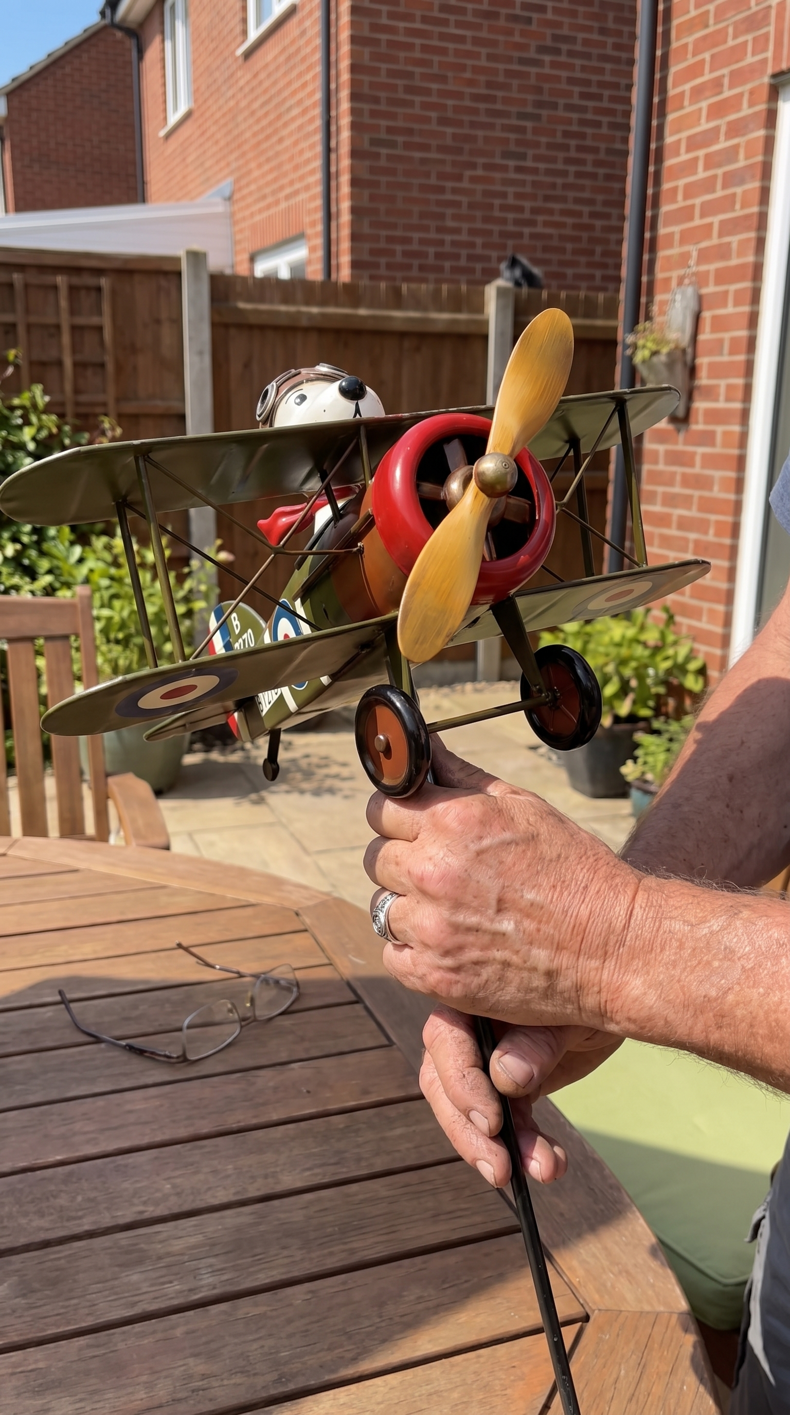 Flying Ace review photo 6