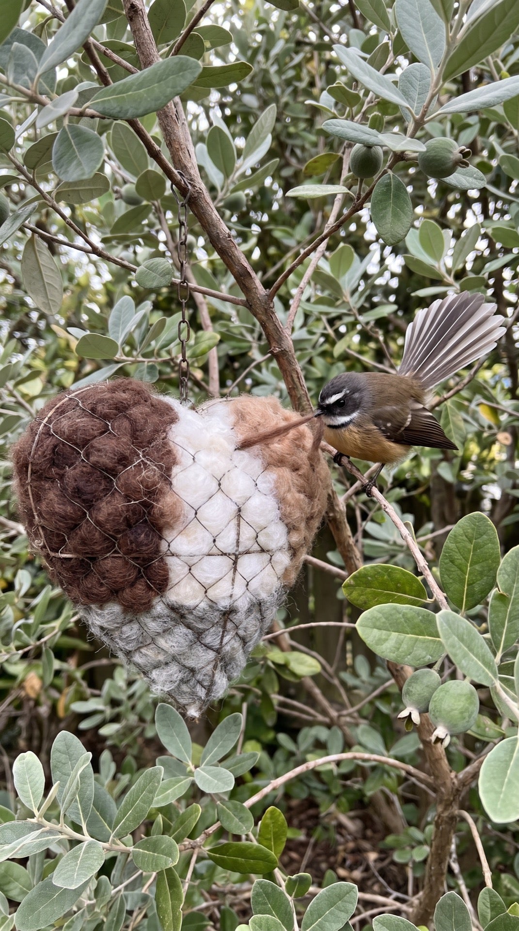 Heather Prebble alpaca nesting heart, New Zealand
