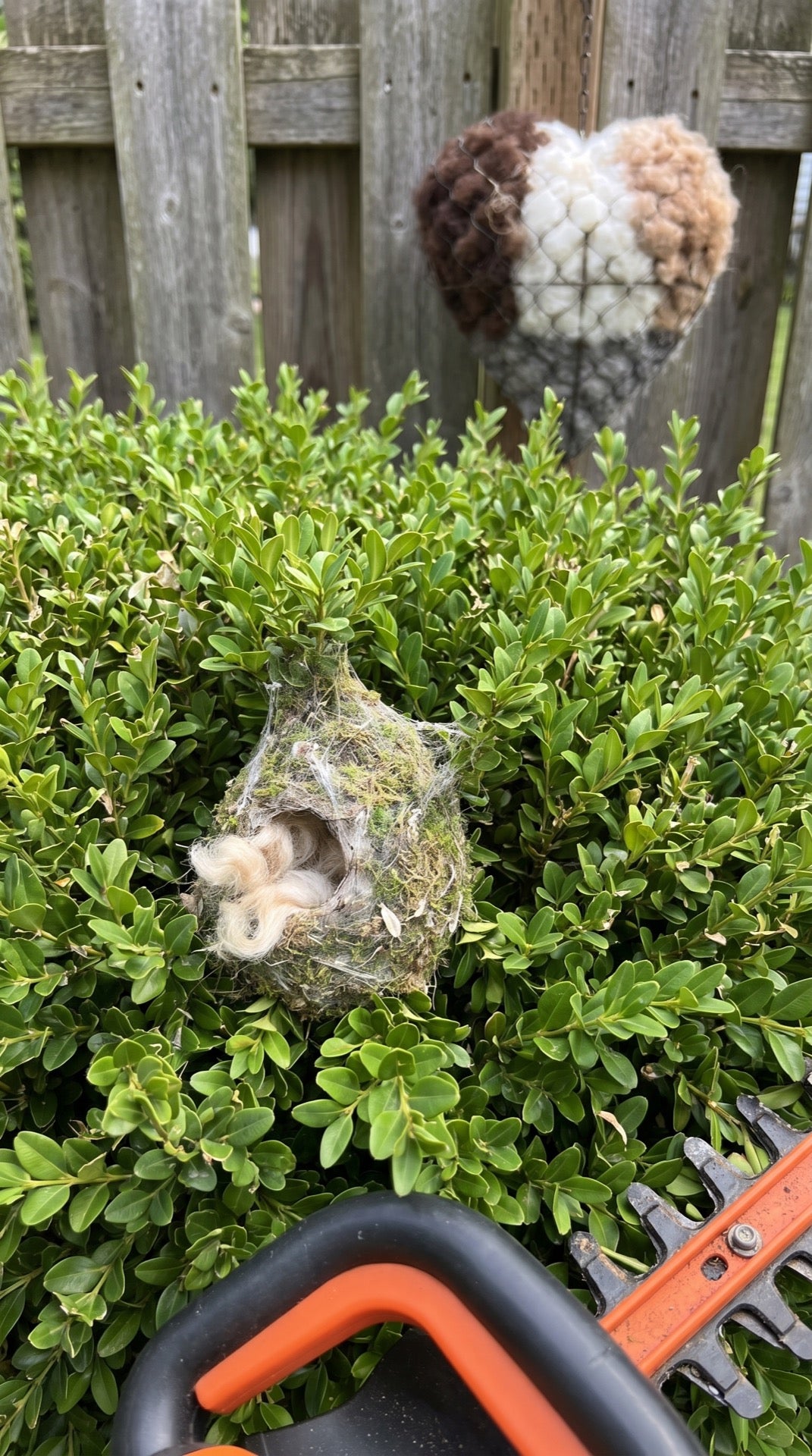 Heather Prebble alpaca nesting heart, New Zealand