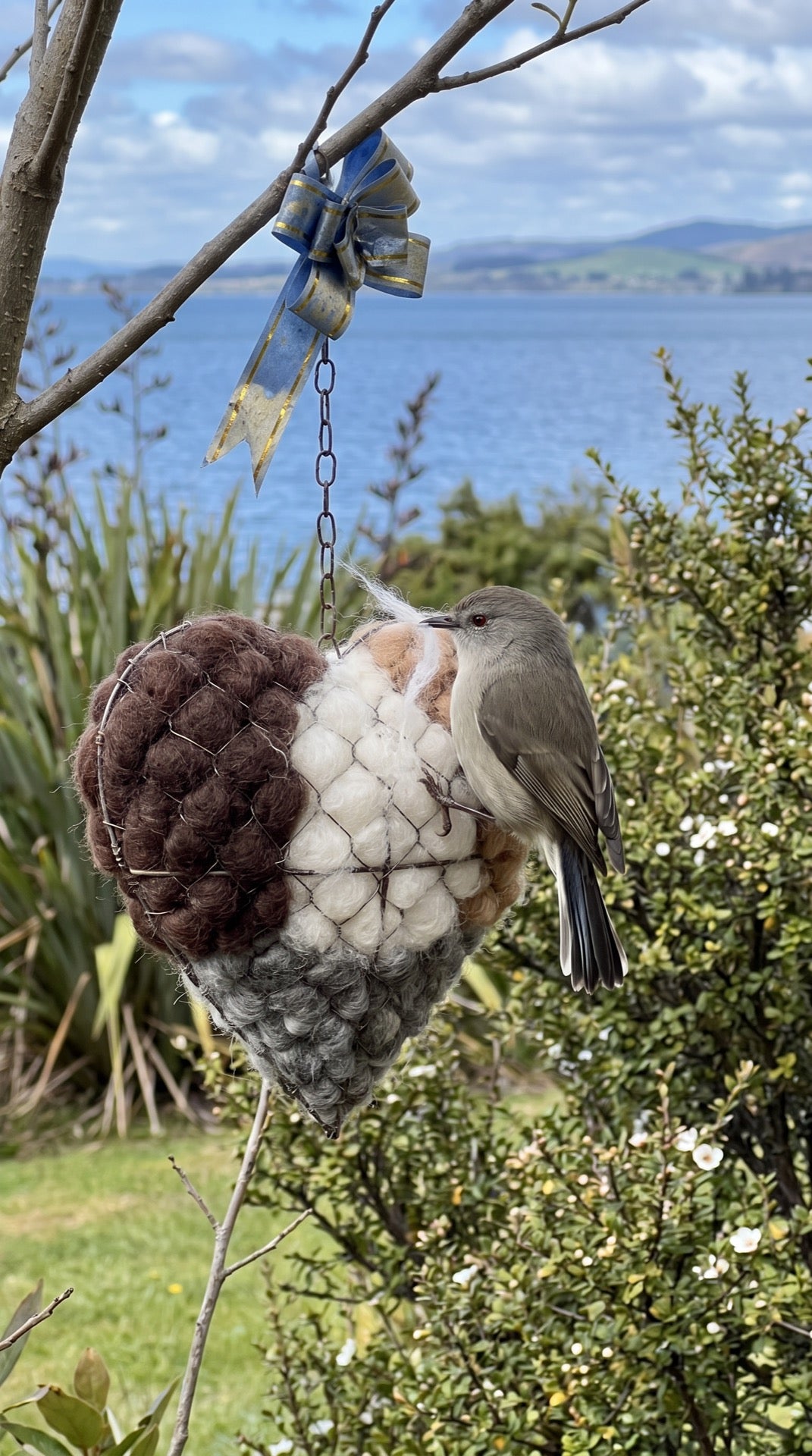 Heather Prebble alpaca nesting heart, New Zealand