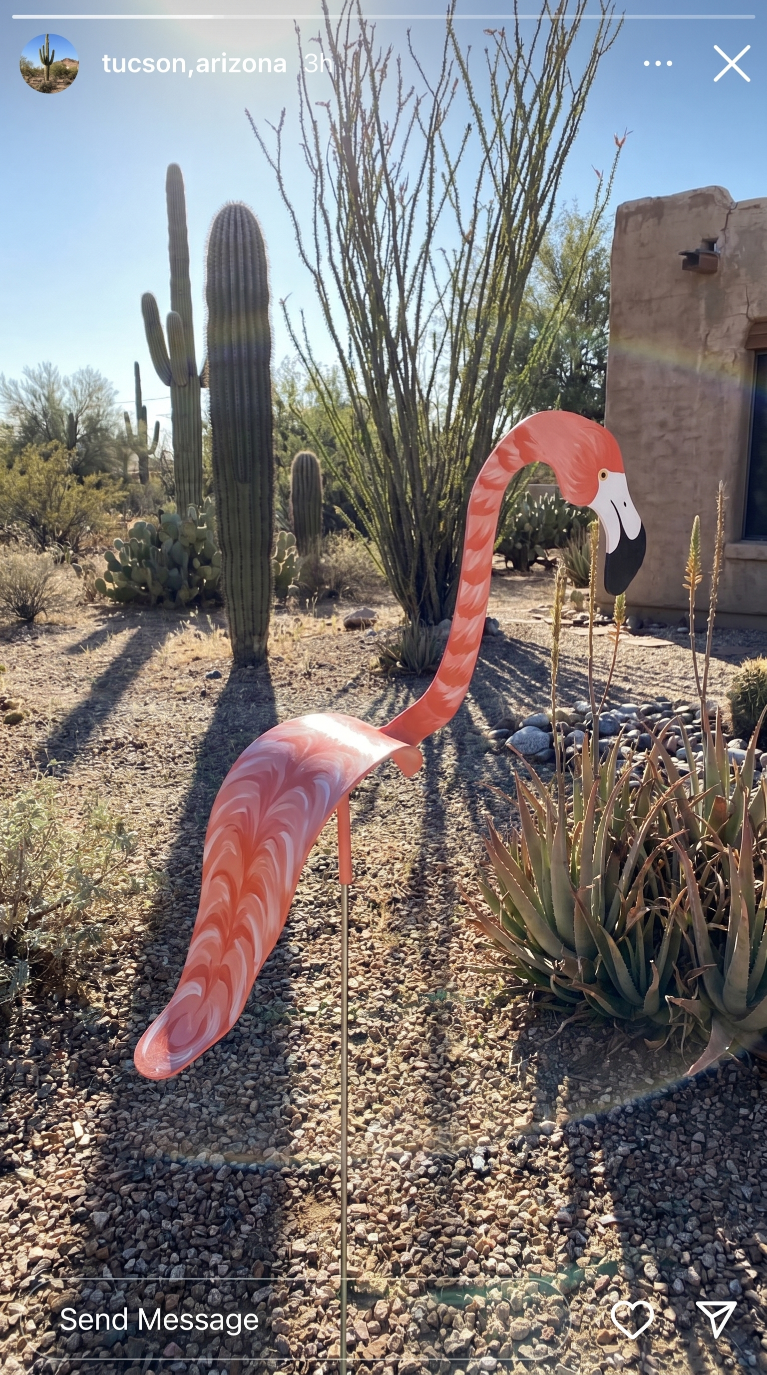 Customer photo: Coral flamingo wind-spinner in a Tucson desert front yard