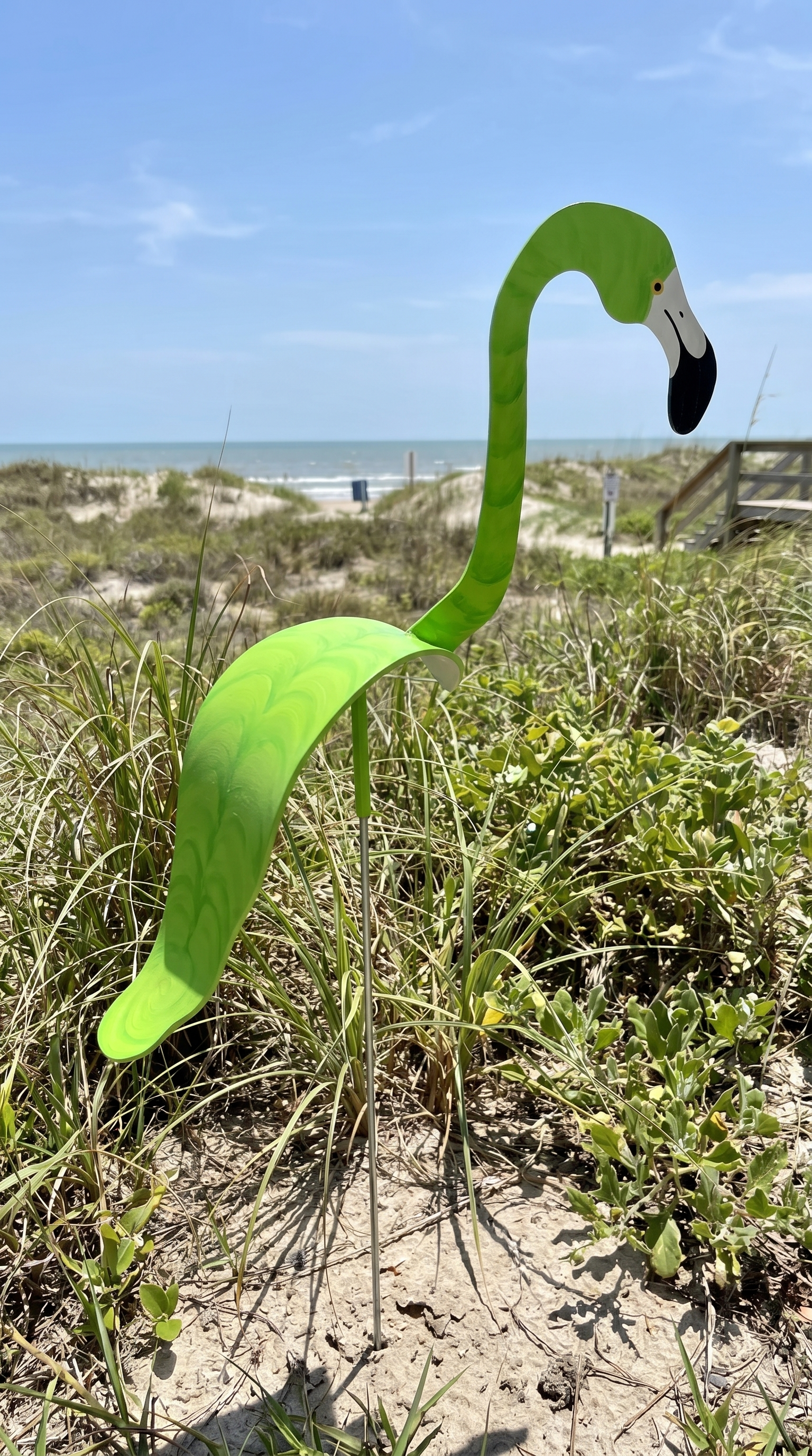 Customer photo: Key Lime flamingo in a Galveston Texas coastal yard