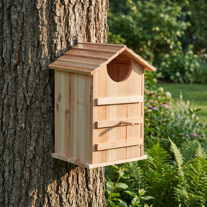 Owl house mounted on an oak trunk in a garden