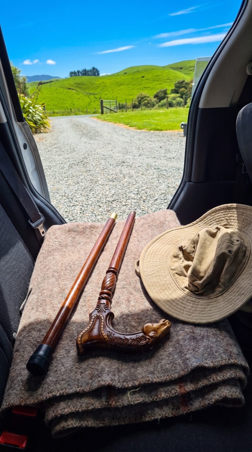 Hamish Rountree walking stick f2-ute