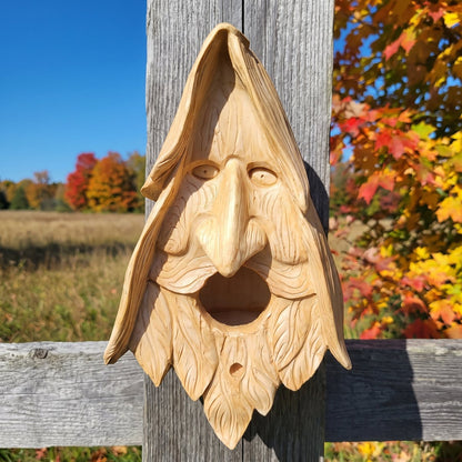 Hand-carved wood spirit birdhouse on a cedar fence post in the Ottawa Valley