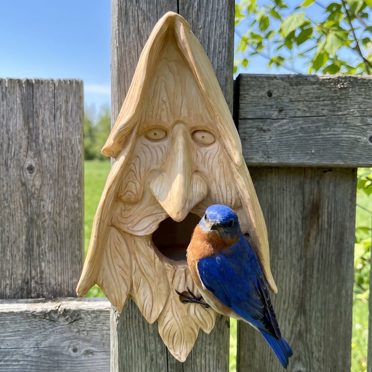 Eastern bluebird at the mouth of the carved wood spirit birdhouse